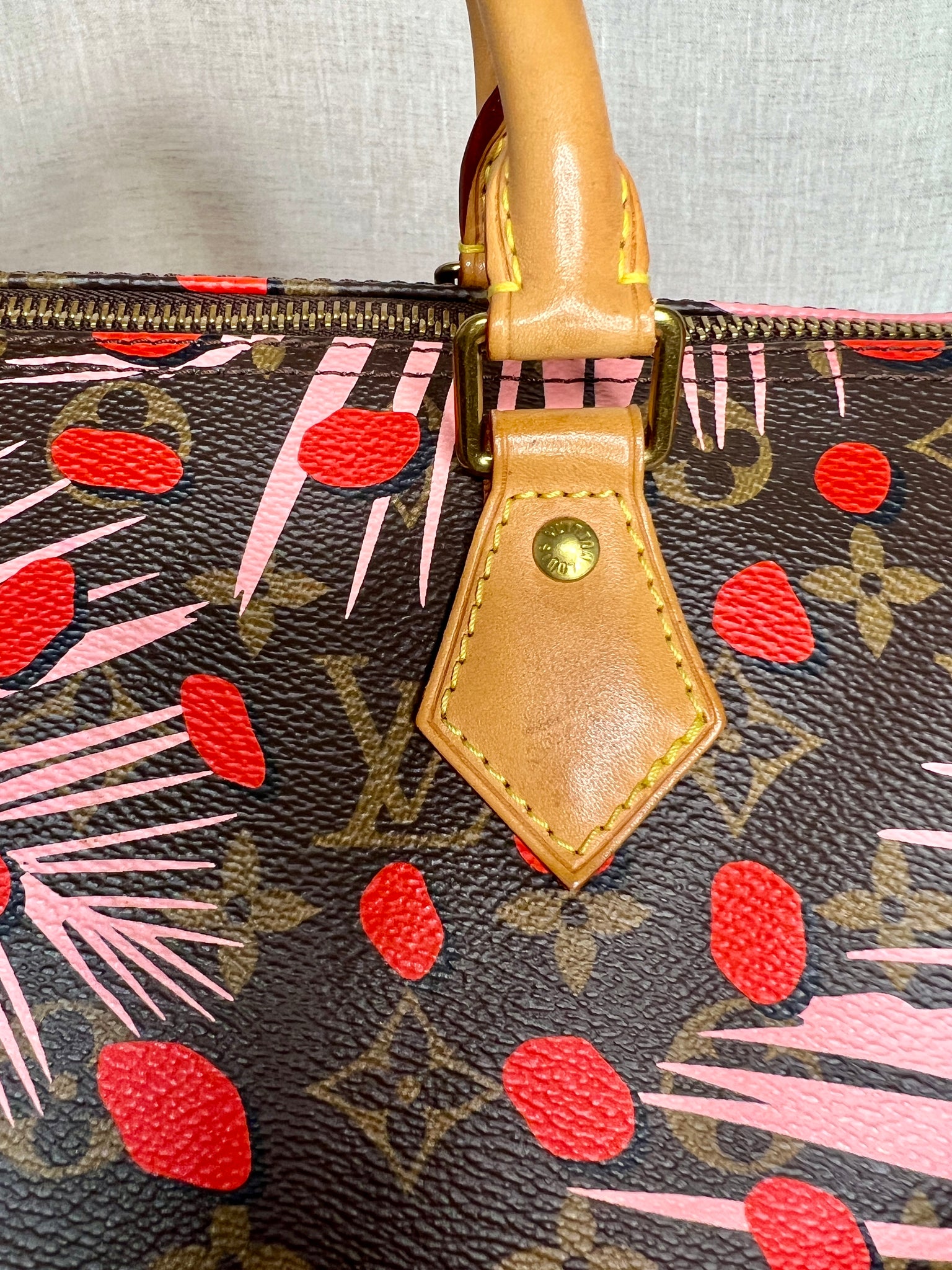 Louis Vuitton Limited Edition Jungle Dot Speedy 30 in Monogram Canvas