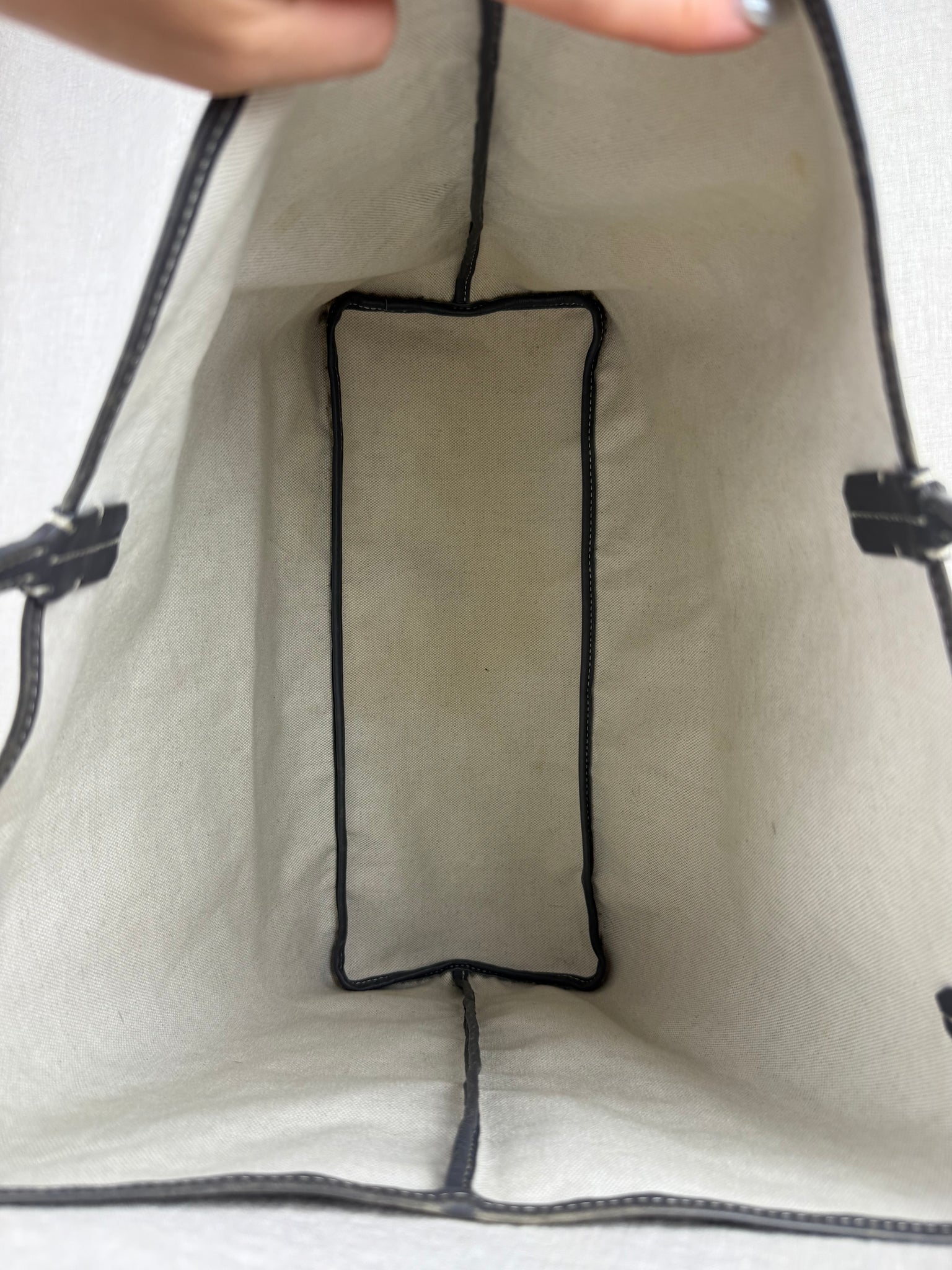 Goyard Saint-Louis PM Tote in Grey