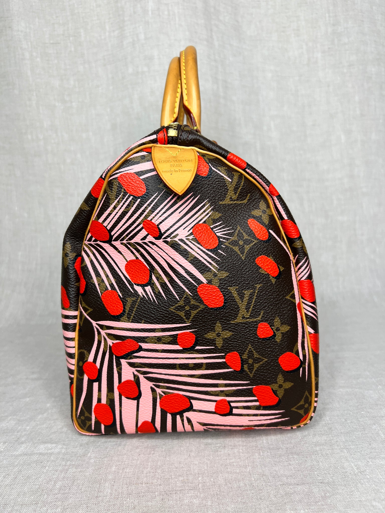 Louis Vuitton Limited Edition Jungle Dot Speedy 30 in Monogram Canvas