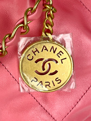 Chanel 22 Hobo Calfskin & Gold-Tone Metal, Pink