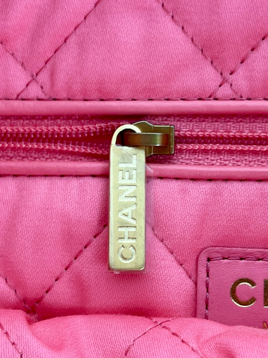 Chanel 22 Hobo Calfskin & Gold-Tone Metal, Pink